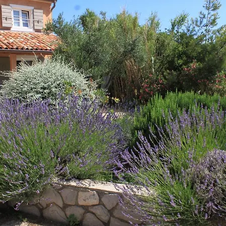 Casa vacanze House With A Parking Space Nerezine, Losinj - 8016 Nerezine